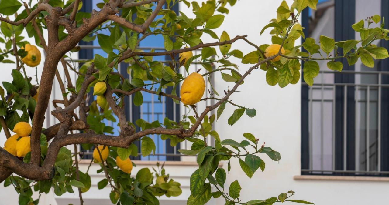 Opuntia Hotel Boutique Mijas Exterior photo