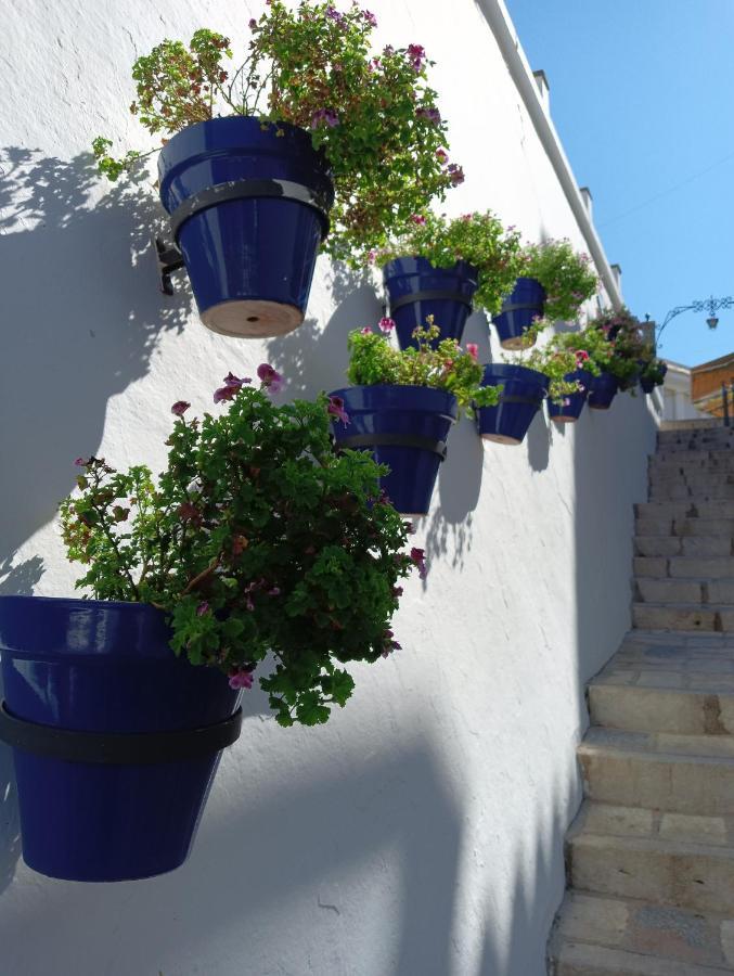 Opuntia Hotel Boutique Mijas Exterior photo