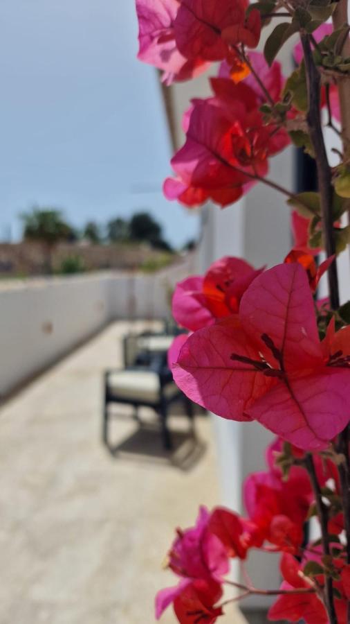 Opuntia Hotel Boutique Mijas Exterior photo